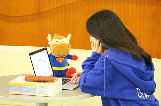 初级管理会计师考什么
