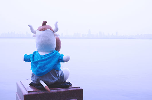 山东省滨州市2018年中级经济师合格证领取通知