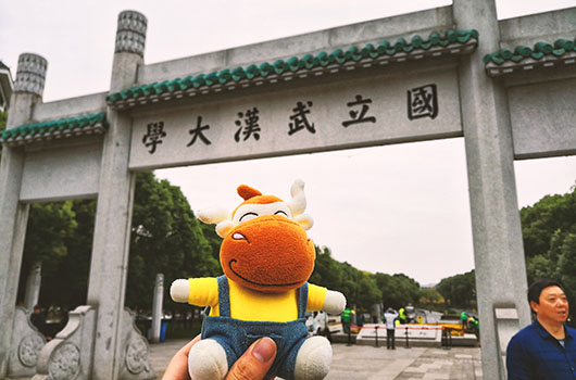 四川省眉山市2018年经济师合格证领取通知
