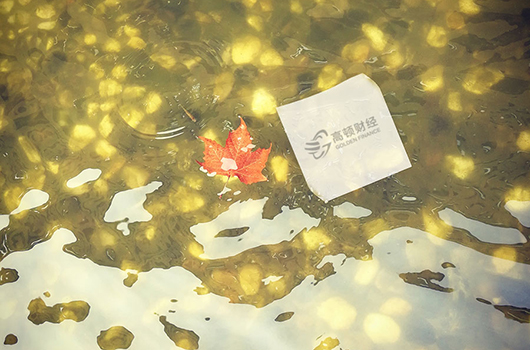 <b>那些年我们一起遇到的经济师报考谣言</b>