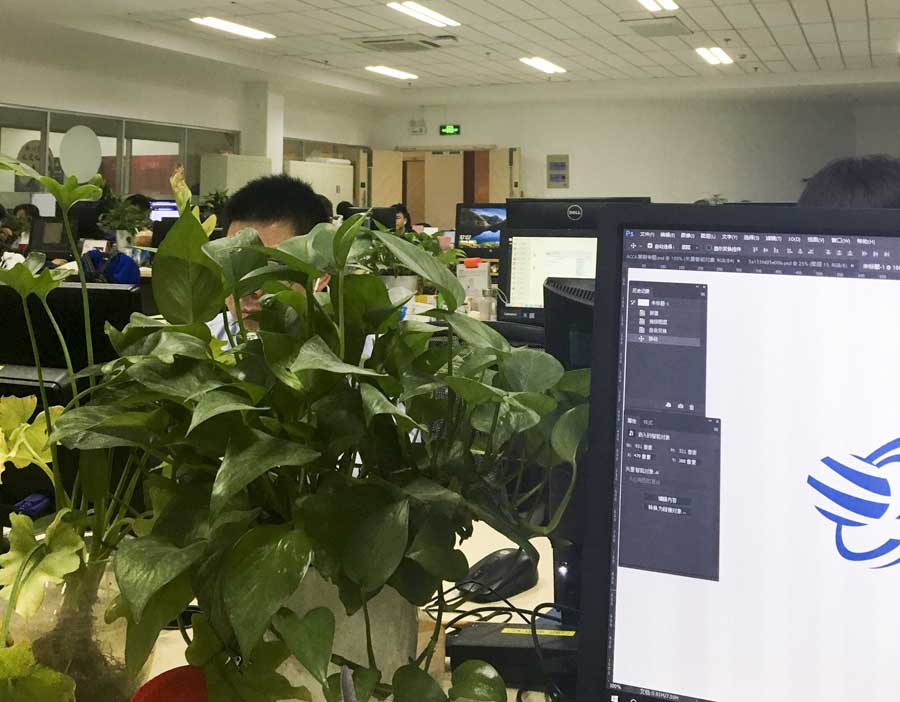 <strong>数字化管理会计的职业技能等级划分</strong>