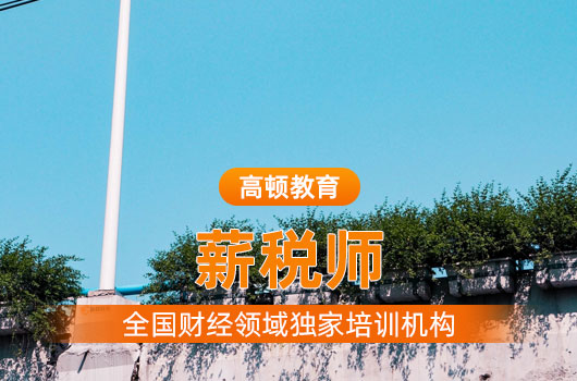 薪税师有没有用