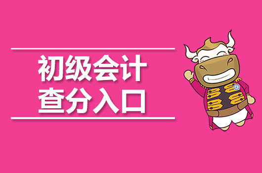 2019年初级会计查分入口