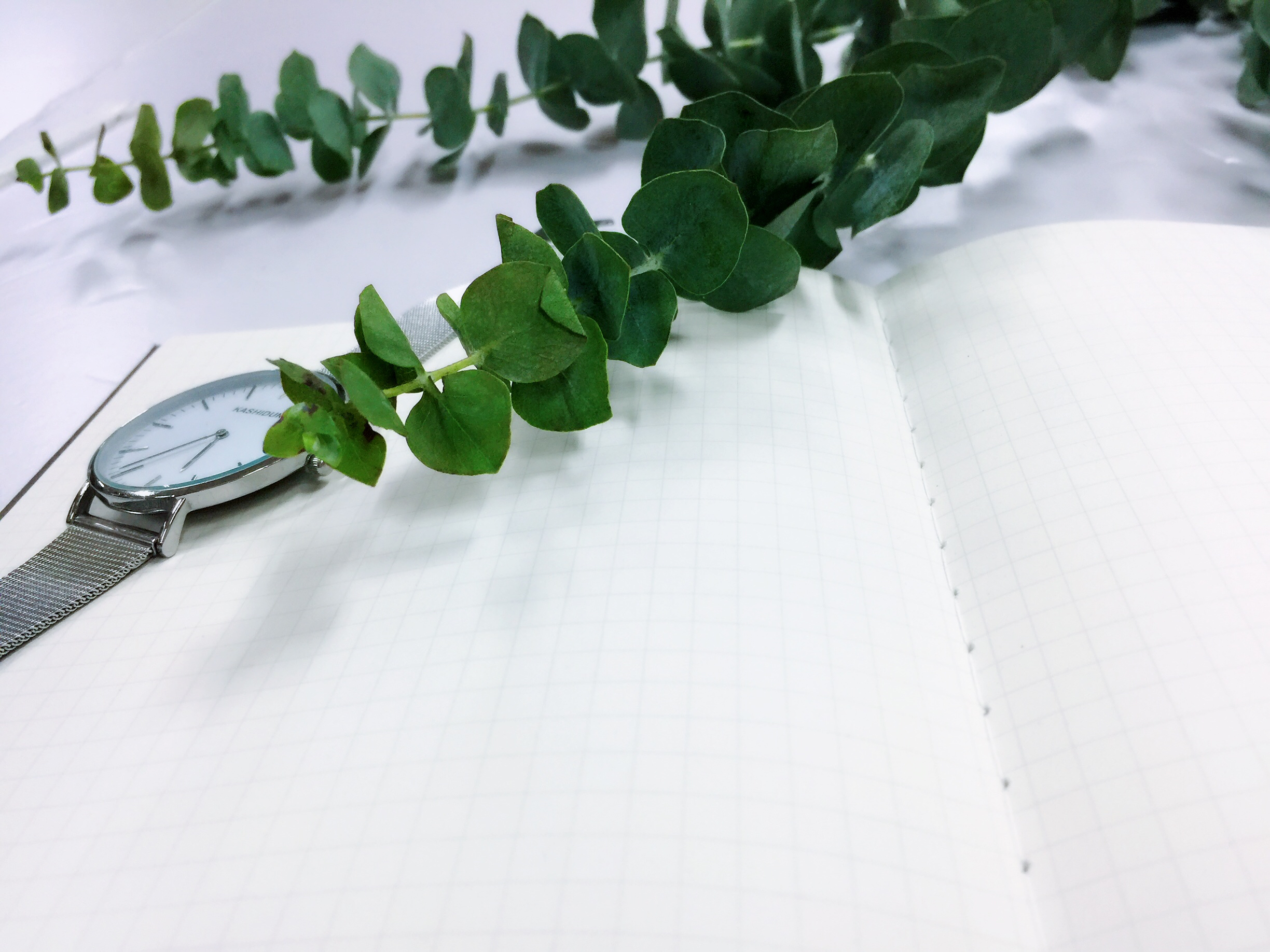 ACCA注册常见问题