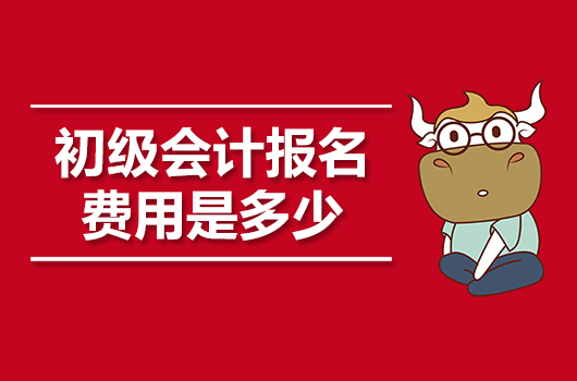 2020年初级会计报名费